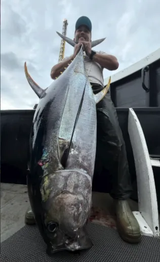Peixe grande capturado em alto mar com isca Gui Custom Lures